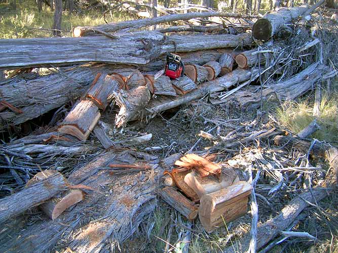 20040516-017-firewood-2.jpg
