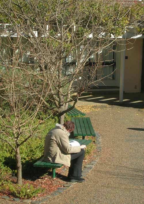 Lunch in the courtyard