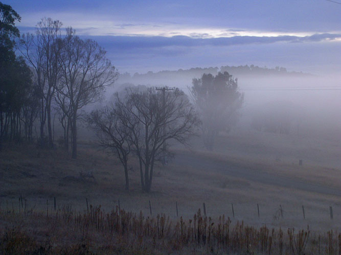 Morning Mist
