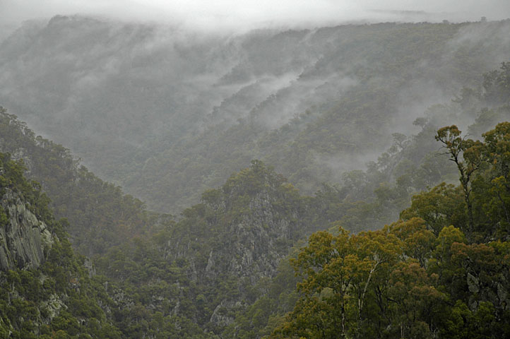 Gorge with mist