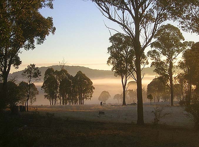 More morning mist