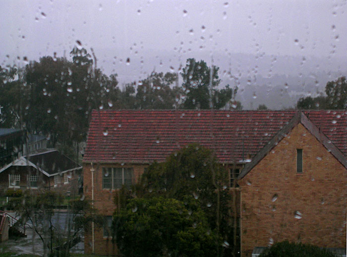 Rain on window