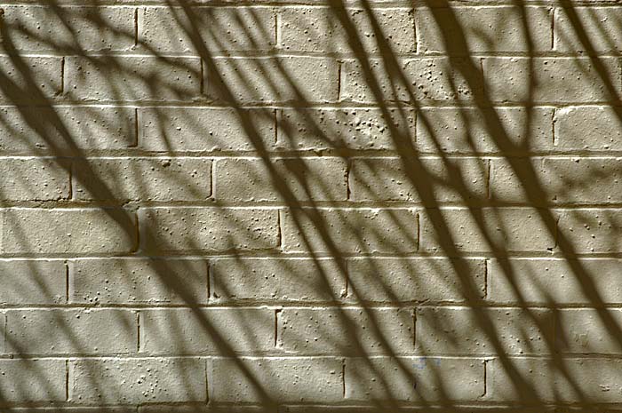 Shadow 1