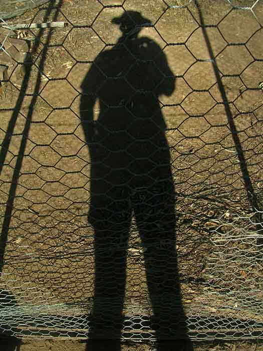 My shadow through the dog run netting