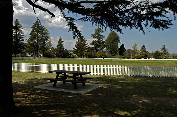Cricket pitch looking for players
