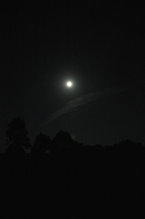 Moonlit sky