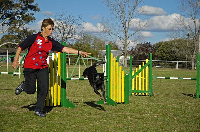 Dog and owner