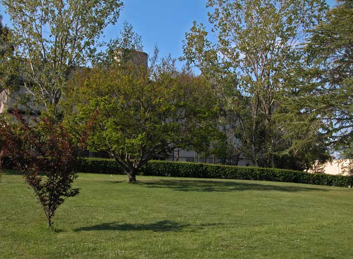 Park-like vista
