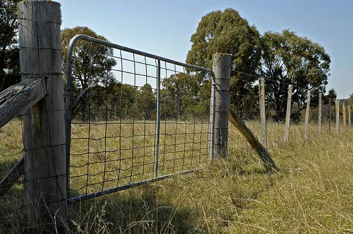 Creek Paddock gate