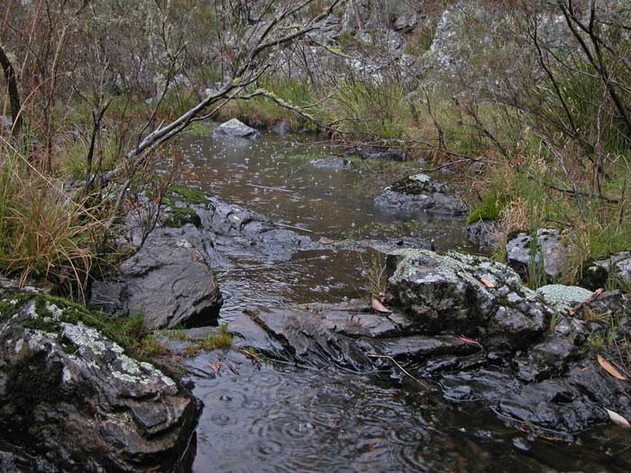 Creek 4