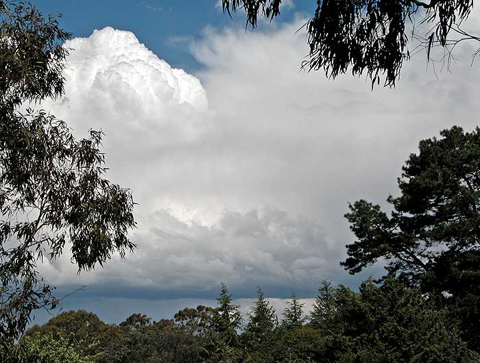Clouds over trees 2