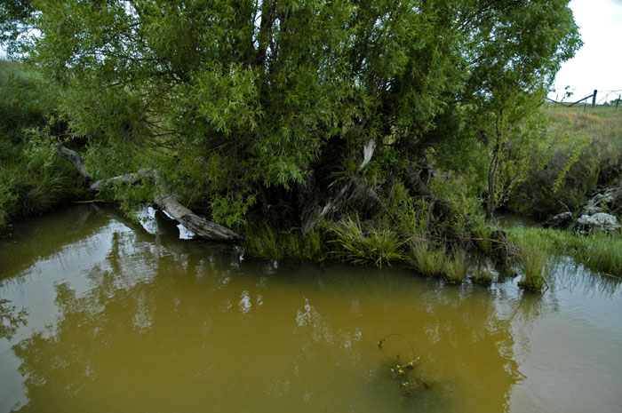 Burying Ground Creek