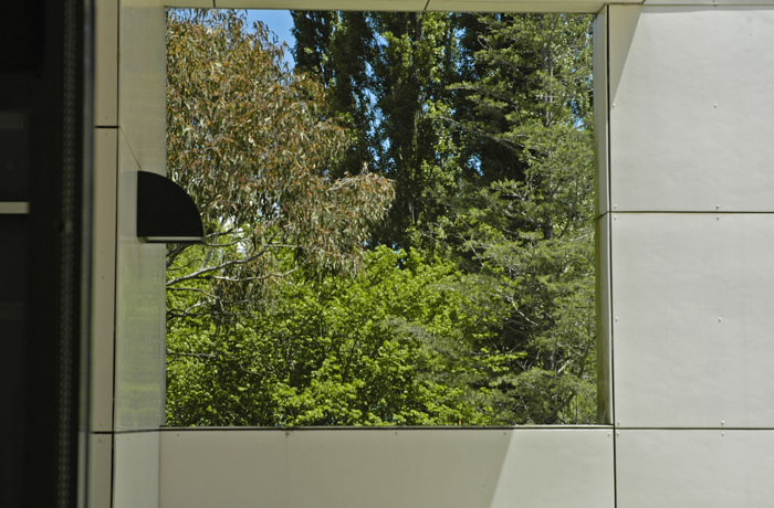 Window or frame