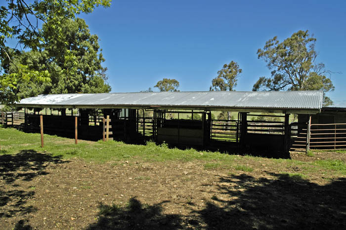 Bull shed