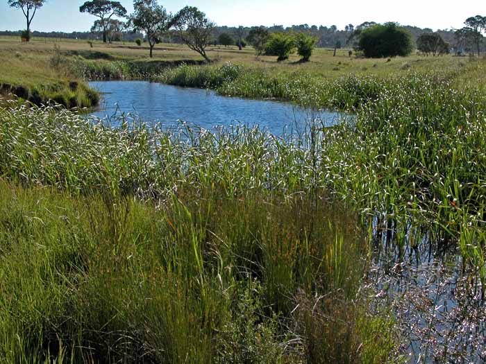 Saumarez Creek