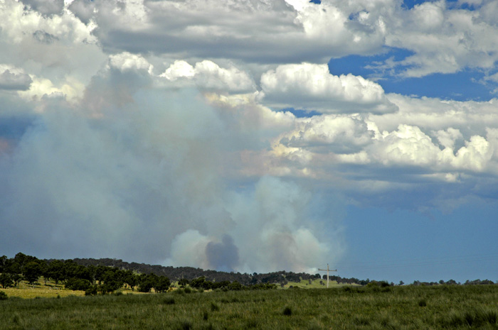 Bushfire 2