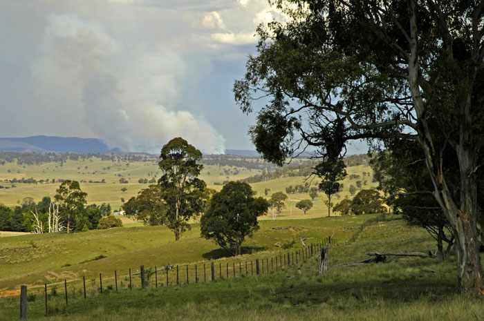 Bushfire 3