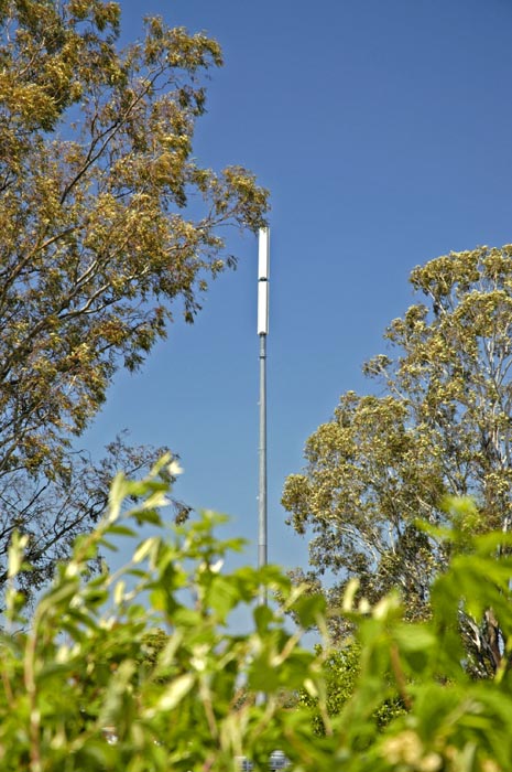Cellphone base antenna