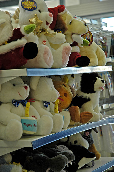 Toy animals awaiting a home