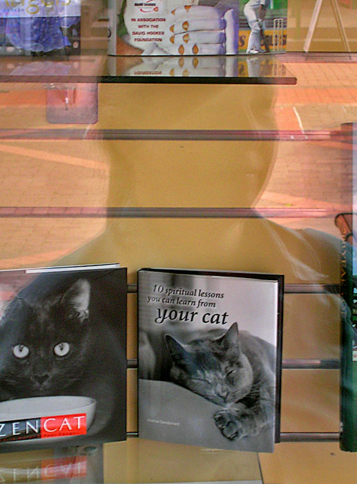 Book i shop window, plus reflection