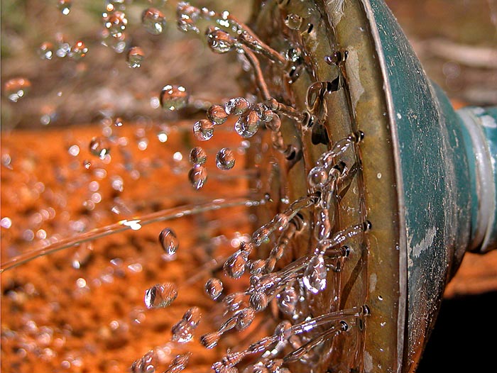 Water caught in flight from watering can