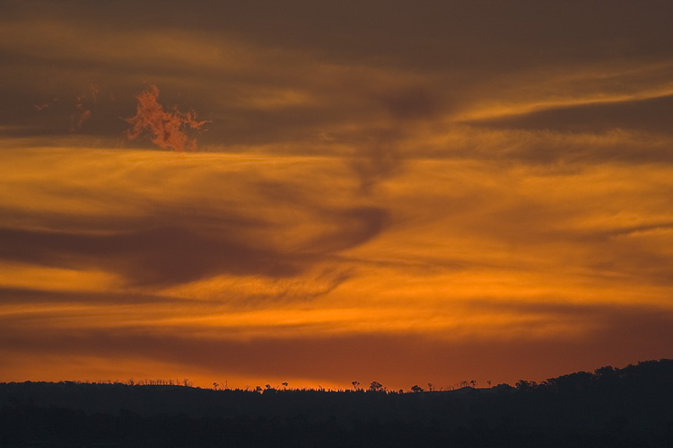 Clouds lit by the setting sun