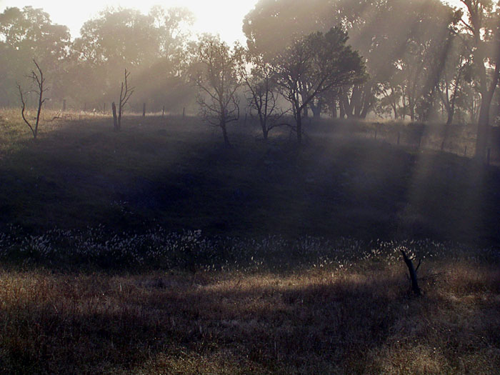 Morning shadows and sun's rays