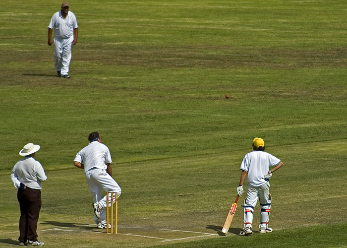 Sunday afternoon cricket in the park