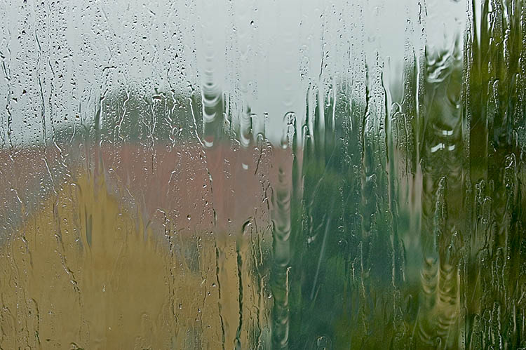 Storm rain lashing window