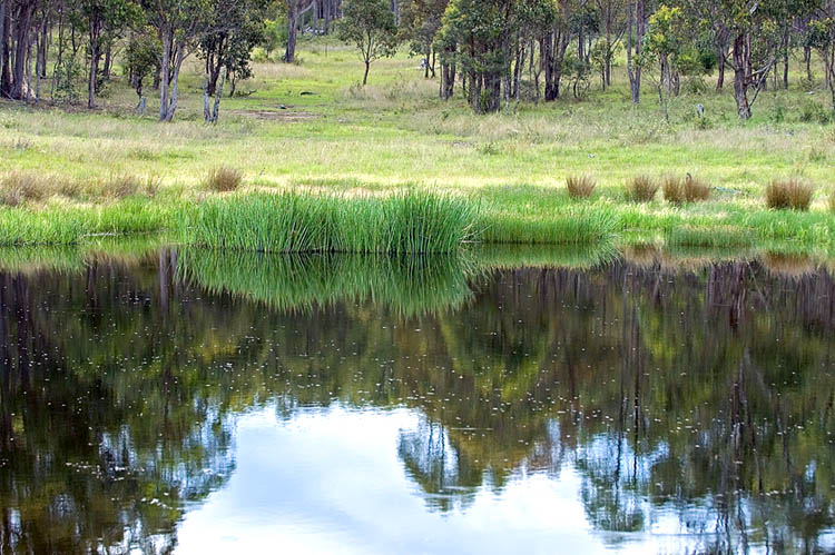 Dam reflections