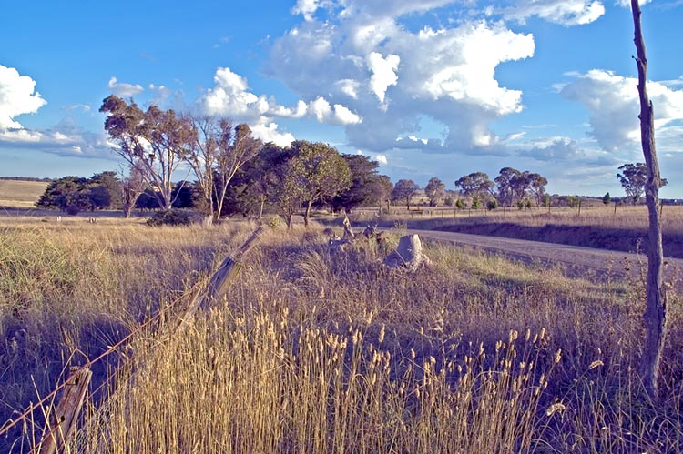 Country road