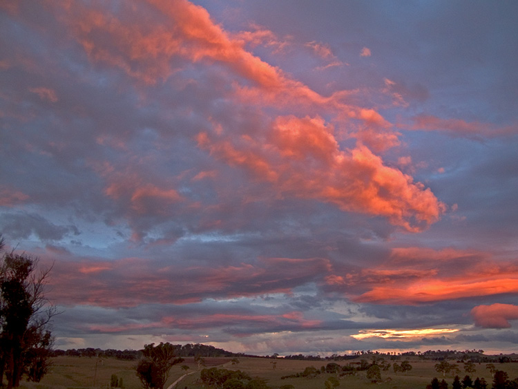 Pink cloud embers