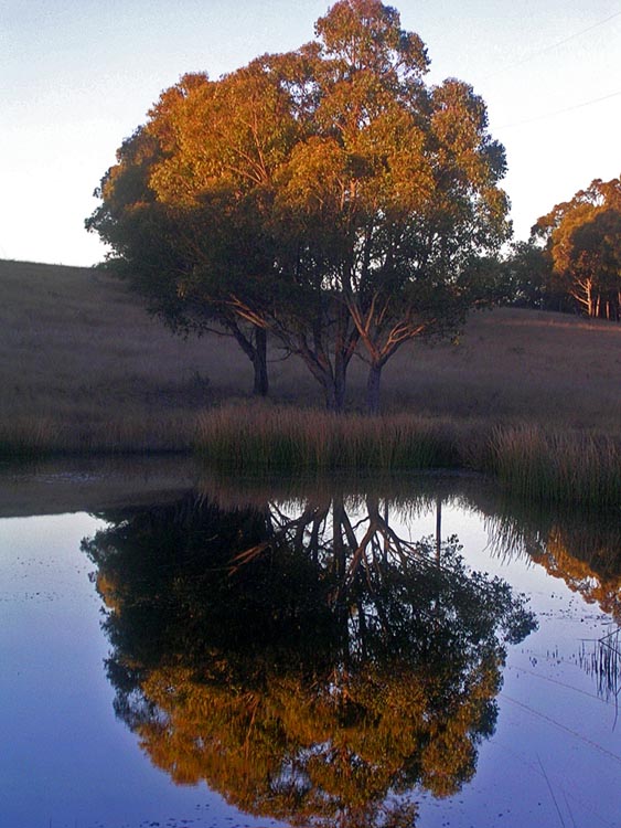 The balance of nature