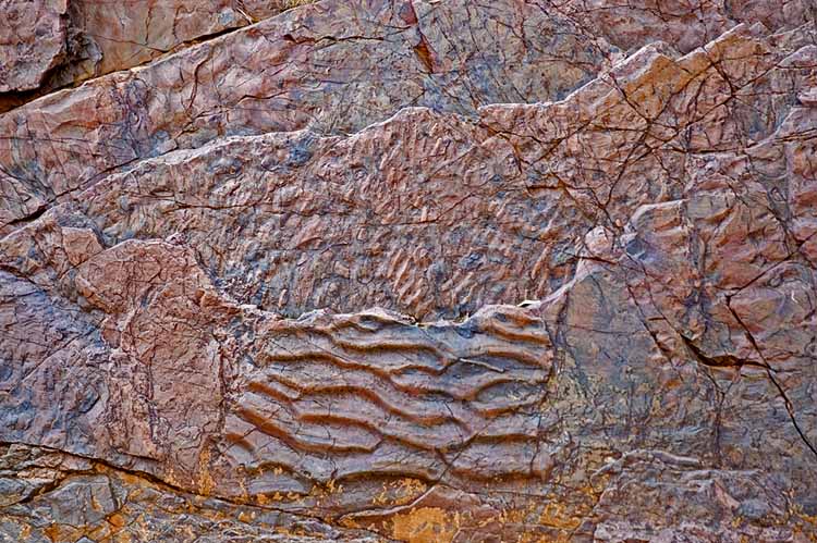 Fossilised sand ripples Fossilised sand ripples