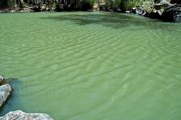 Ripples on surface of water Ripples on surface of water