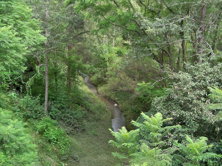 20080216-10-54-52.jpg