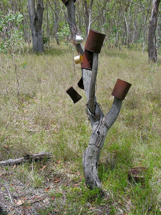 February « 2009 « lookANDsee